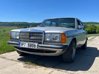 Mercedes W123 300D - 10