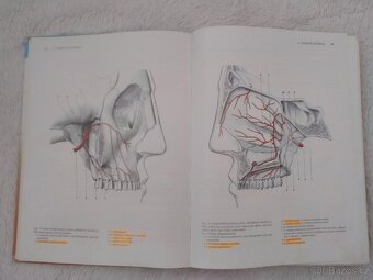 ANATOMIE 1,2,3 díly - Mudr. R. Číhák - 10
