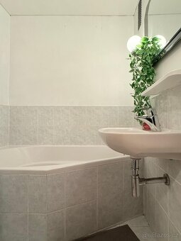 Prodej bytu 2+1 o CP 52m² v Hrušovanech u Brna - 10