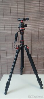 Nikon coolpix p950 - 10