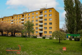 Pronájem, byty/2+1, 54 m2, Nám. V. Čtvrtka, Valdické Předměs - 10