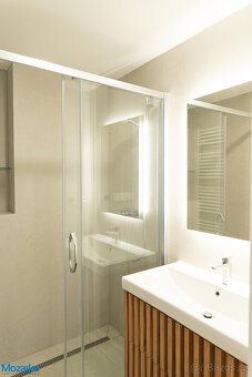 Pronájem bytu 3+kk + pokoj bez okna, po rekonstrukci, na nám - 10