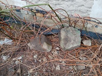 Kameny za odvoz - 10