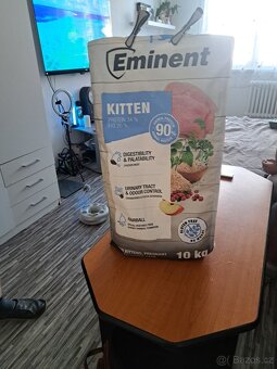 Prodám pulroční kotě - 10