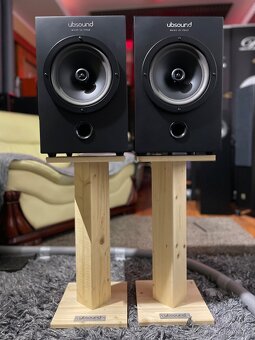 UBSOUND HDNSS COAXIAL AUDIOPHILE SPEAKERS - 10