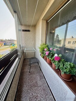 Komerční nemovitost s širokým využitím – dvě bytové jednotky - 10