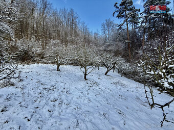 Prodej chalupy, 120 m², Vranov nad Dyjí - 10