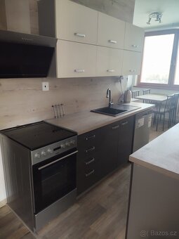 Pronájem byt 3+1 - 10
