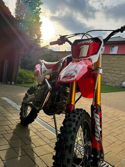 Pitbike WPB 155 race - 10