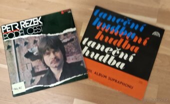 Vinylové desky LP různých interpretů v perfektním stavu - 10
