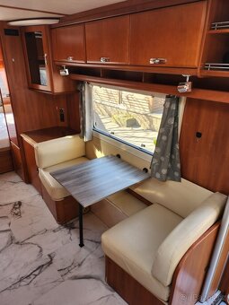 Tabbert Puccini - 10