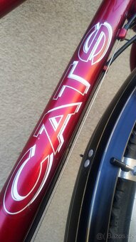 Dámské městské kolo Cats Terrano 300 Shimano Nexave Silent C - 10