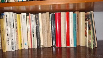 250 knih za symbolickou cenu - 10