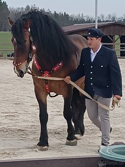 Připuštění ČMB hřebcem 3059 Mary Vrbický - 10