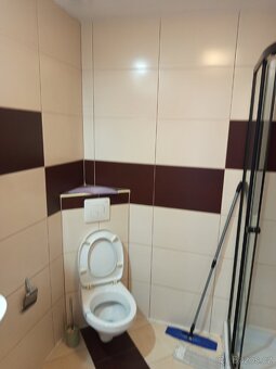 Pronajmu byt polsko ( blisko cz )( pro jednou osobu) - 10