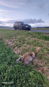 Chrysler Voyager 2.5 CRD, 89 kw, rv. 2005 na ND - 10