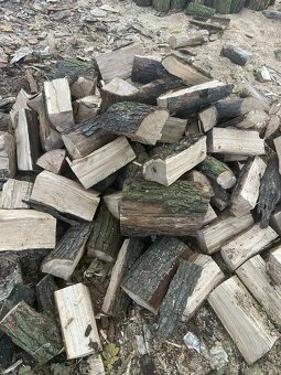 🔥 PALIVOVÉ DŘEVO – LEVNĚ & KVALITNĚ 🔥 - 10