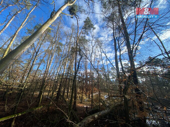 Prodej lesa, 3720 m², Všehrdy - 10