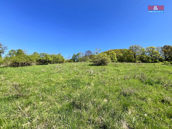 Prodej louky, 21830 m², Malšovice - Hliněná - 10