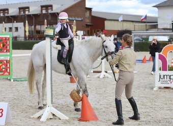 Nádherný valach na všechno:-) - 10