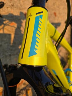 Author Ultrasonic 27,5 16" - 10