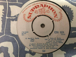 LP Gramofonové desky 55 Ks Mix  - (i po kuse) (Sada 01) - 10