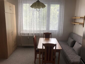 Pronájem bytu 1+1 Děčín-Bynov - 10