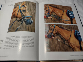 Odborná literatura o koních, jezdectví - Trénink koně - 10