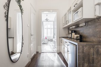 Prostorný byt 2+1 (46,6 m2) na Vinohradech, Vinohradská ulic - 10