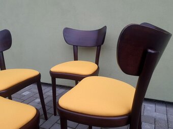 Prvorepublikové židle THONET po renovaci - 10