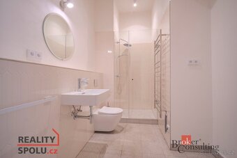 Převod dr. podílu, byty/2+kk, 71 m2, Jaromírova 487/4, Nusle - 10