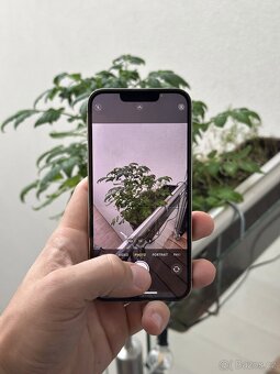 iPhone 13 Pro 256GB - 10