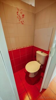 Byt 2+1 s perfektním výhledem - 10