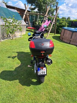 Suzuki dl 650 V-strom - 10