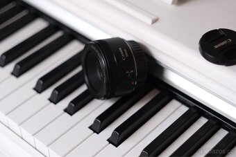 Canon 5D + 28-105mm + 50mm 1.8 stm - 10