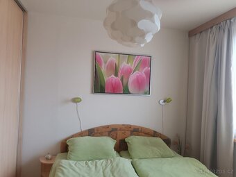 Prodej bytu 3+1, Mandysova, Hradec Králové - 10