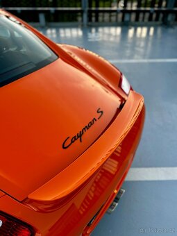 Porsche Cayman S Sport Edition 1/700 - 10