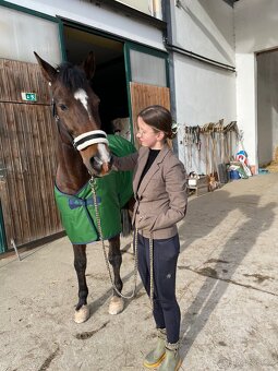 Valach ideální na přirozenou komunikaci - 10