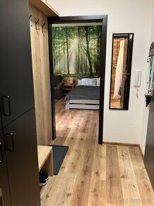 Apartmán Vrbno pod Pradědem - Jeseníky - 10