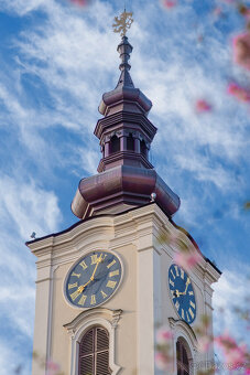 Sigma 56mm f1.4 MFT - 10