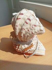 Starší lampička z mušlí/lastur-suvenýr Chorvatsko Primošten - 10