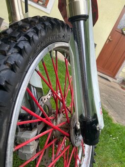 Diabolini MMR 250-2021 - 10