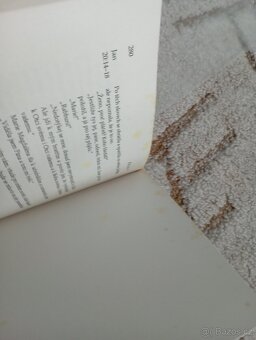 Cynthia Bourgeault: Tajemství Marie Magdalény - 10