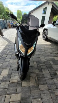 Skútr Maxon 125cm - 10