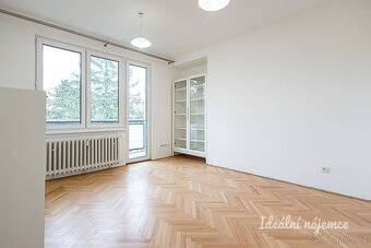 Pronájem bytu 4+kk, Jeremenkova, Podolí, 39500 Kč/měs, 94 m2 - 10