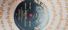 šelakové desky - 10