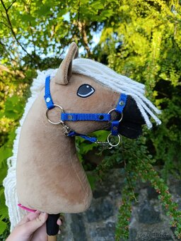 Larden xs hobby horse - 10