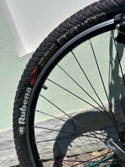 Horské kolo Dirtparade - 10