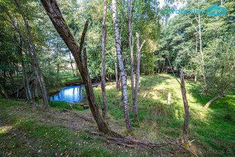 Prodej unikátní obory (8,66 ha) s jelení a dančí zvěří na hr - 10