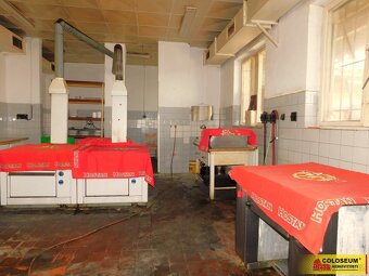 Dobšice, restaurace, 950 m², vhodné k podnikání, investice – - 10